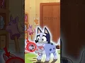 Why Does Socks Act Wild In Bluey