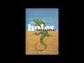 Holes Chapters 32 33