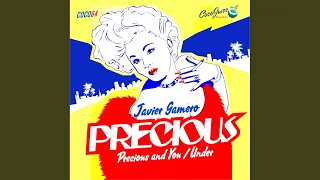precious u0026 you original mix 