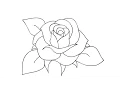 Download Lagu How to draw a rose - Easy step-by-step drawing lessons for kids