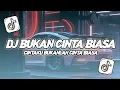 DJ BUKAN CINTA BIASA | CINTAKU BUKANLAH CINTA BIASA VIRAL TIKTOK TERBARU 2024