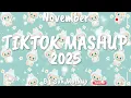 Tiktok Mashup November 💙2025💙 (Not Clean)