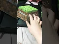 Touching My Original Minecraft Blockopedia