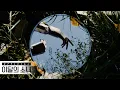 Download Lagu [Trailer] 이달의 소녀 (LOONA) \