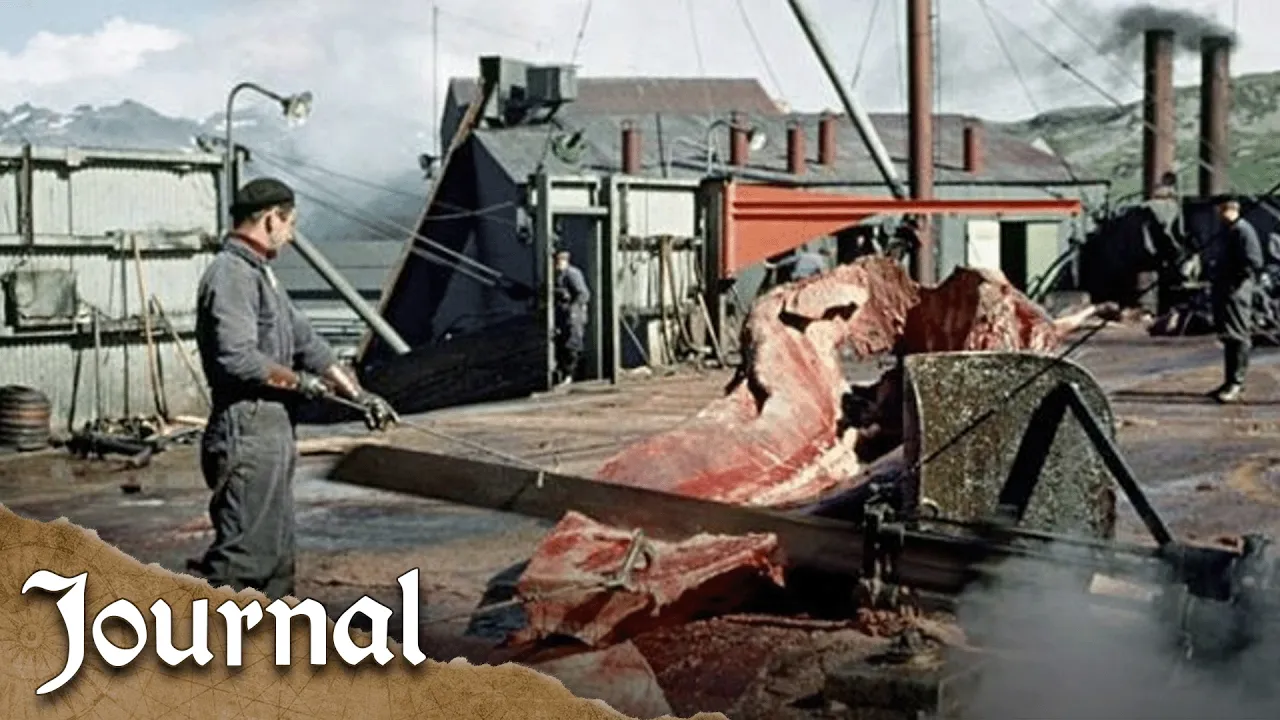 The Forgotten World of Whale Hunters: Untold History | Journal