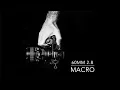 The BEST Macro Lens For the NIKON Z6 Sample Images