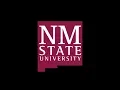 myNMSU - Degree Audit