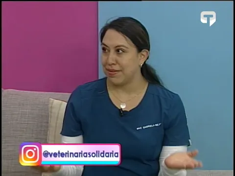 Enfermedades oculares en perritos