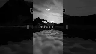 وانا شعري شاب مالعذاب والجراح حالات واتس احمد شيبه 