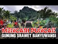 Download Lagu MENCARI PUNCAK GUNUNG SRAWET BANYUWANGI | Ketinggian hanya sekitar  274 MDPL
