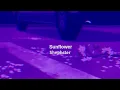 Download Lagu Rex Orange County - Sunflower - (Slowed/Reverb)