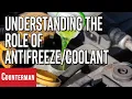 Understanding the Role of