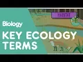 Key Ecology Terms Ecology and Environment Biology FuseSchool