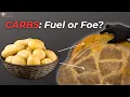 Fat or Fuel What Your Body REALLY Does With Carbs