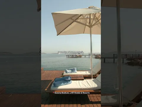 "We should go” → “We booked it." #Hilton #Summer #5WeeksofSummer
