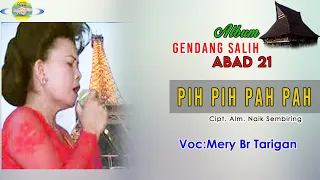 mery br tarigan pih pih pah pah gendang salih abad 21 djasa tarigan lagu karo viral sepanjang masa