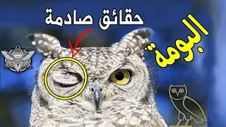 10 حقائق غامضه عن طائر البومة أشهر طائر للتشاؤم وماذا قال عنه الرسول ﷺ 