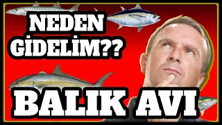 Download Balık Avını Neden Bu Kadar Çok Seviyoruz MP3