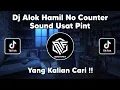 Lagu DJ ALOK HAMIL NO COUNTER SOUND USAT PINT VIRAL TIK TOK TERBARU 2022 !