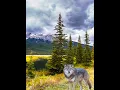 WOLF CREEK PASS