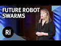 Engineering a swarm - with Sabine Hauert