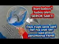 Lagu mereka baru nyadar dan tau sendiri kehebatan serok sakti ketika sudah beraksi