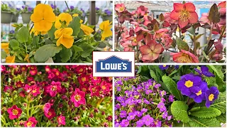 NEW at Lowe s Garden Center March 2026 Spring Plant Arrivals