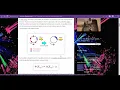 Building Bridges between Synchronization and Quantum Entanglement in Networks