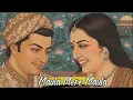 Lagu Maula Mere Maula - Indian Classical Version (Instrumental) | By RagaRaman 