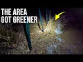 Download Lagu Our Beaver Dams Caught the Desert Flood