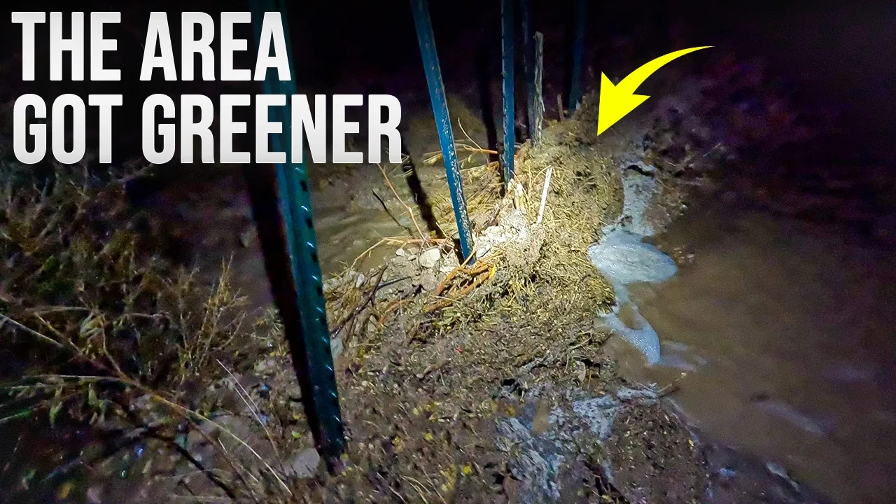 Our Beaver Dams Caught the Desert Flood