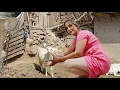 Download Lagu Mix of Nomadic Cooking and 3 Days Living in Nature and Mountains as a Nomad Woman