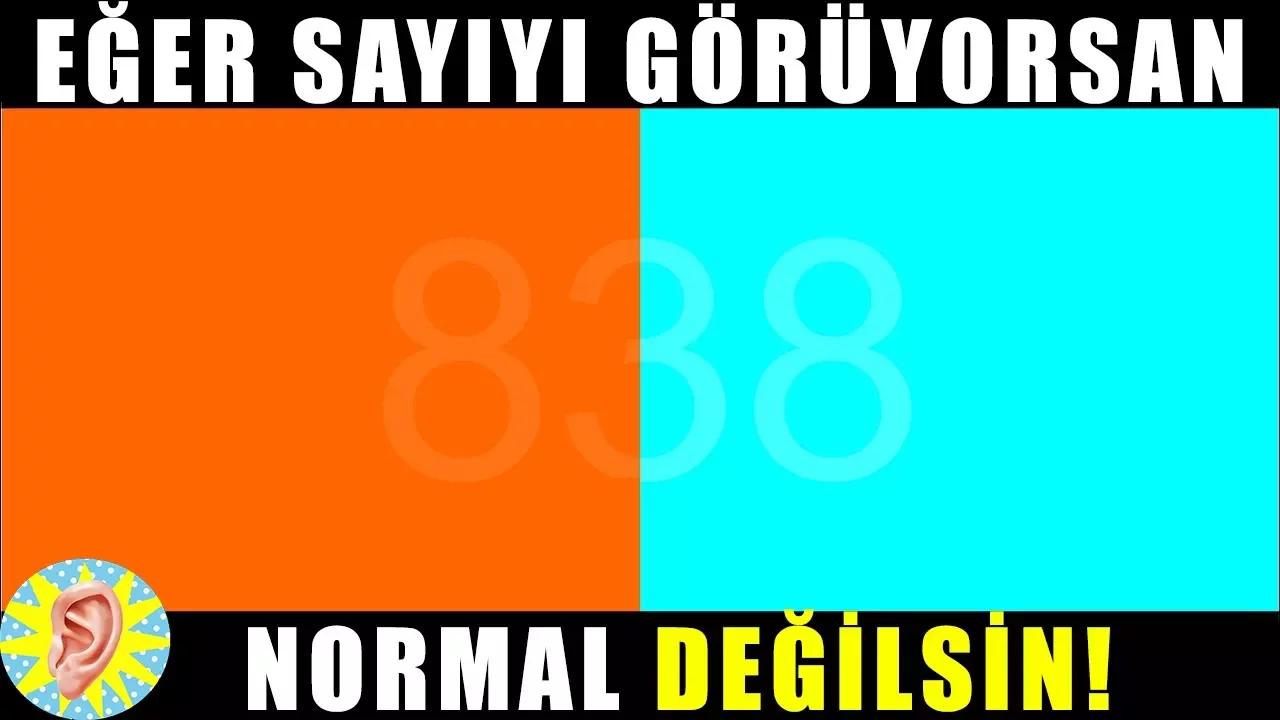 English homework / The cookie recipe of Melisa in English/Melisa'nın İngilizce kurabiye tarifi