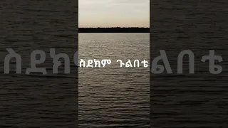 ስደክም ጉልበቴ ቃልኪዳን ጥላሁን ሊሊ Sidekm Gulbete Kalkidan Tilahun Lily 