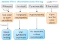 Step 2 High Yield - Pulmonology Tuberculosis