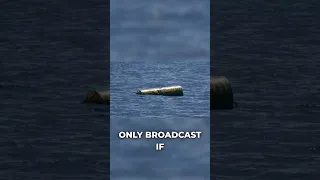 The Fishing Industry You Never See