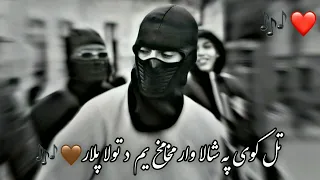 پشتو سندره تل کوی په شالا وار مخامخ یم د ټولو پلار 