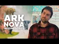 Download Lagu Ark Nova Wednesday