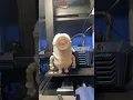 Keeping a eye over the print