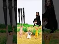 ❤️یامنزل القرآن یا خالق الانسان شکر یارب🤲 🕋shorts #youtubeshorts #trending #farmkiduniyaa #viral