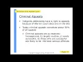 The Appellate Process