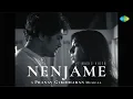 Download Lagu Nenjame - Music Video | Aarya Lakshmi, Hari Shankar | Sarin Kumar | Pranav Giridharan | Haritha