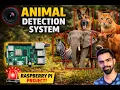 AI and Deep Learning YOLOv8 to detect animals in real time using Raspberry Pi