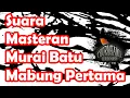 Masteran Murai Batu Saat Mabung Pertama Dijamin Koncer