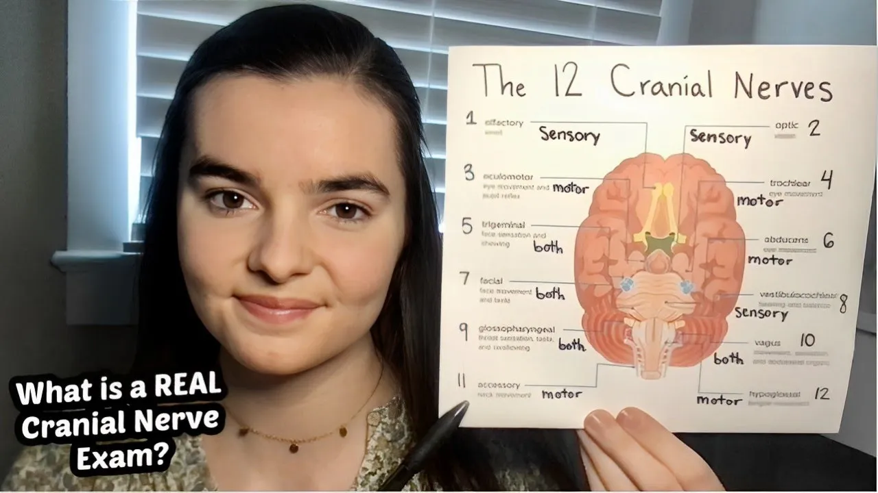 ASMR Teaching You About the Cranial Nerves | How Does a Cranial Nerve Exam Really Work?
