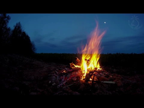 Download MP3 🔥 Campfire Ambience with Night Animals such as Owls and Crickets. Made for Relaxation \u0026 Sleep, Enjoy