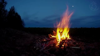 Campfire Ambience With Night Animals Such As Owls And Crickets Made For Relaxation Sleep Enjoy 