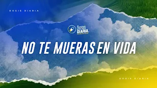 Dosis Diaria Roka - No te mueras en vida