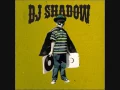 Lagu Dj Shadow - Giving up the Ghost