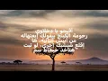 Eslam Kabonga-انا مش ديلار يا حكومه (Lyrics)